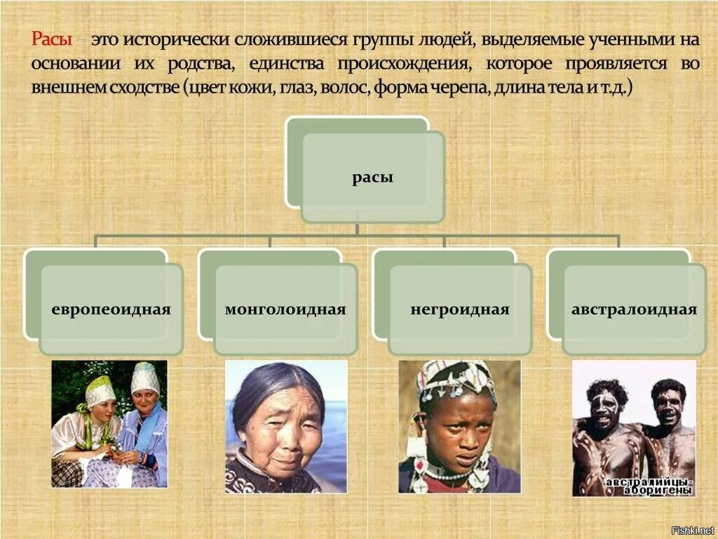 Людей имеющих общее происхождение. Расы людей. четыре основные расы людей. современные расы. расы людей на земле.