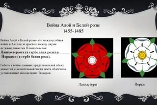 Алые розы тюдоров