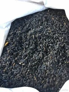 Семечки корма