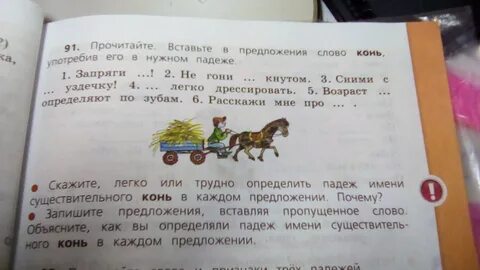 Падеж слова принял