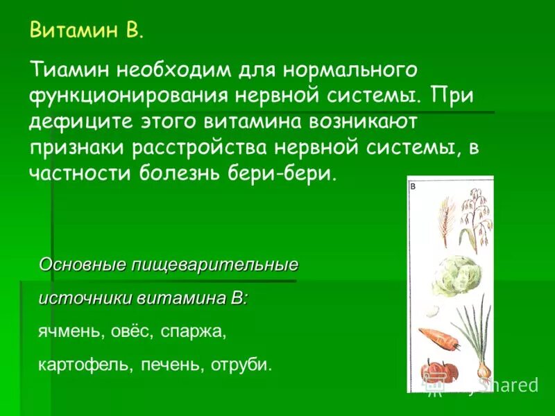 Таурин аминокислота. 1. Необходим для нормального функционирования нервной системы. Таурин презентация. Принципы деятельности сенсорных систем.