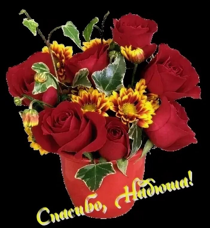 Спасибо надюша открытки. Надейся спасибо. Огромное спасибо. Надейся спасибо. Спасибо надюша.