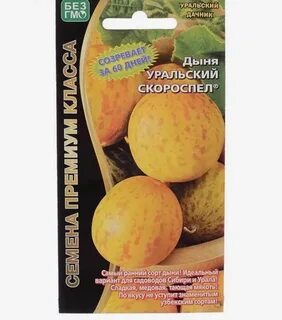 Дыня уральская