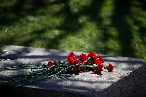 Цветы памяти какие
