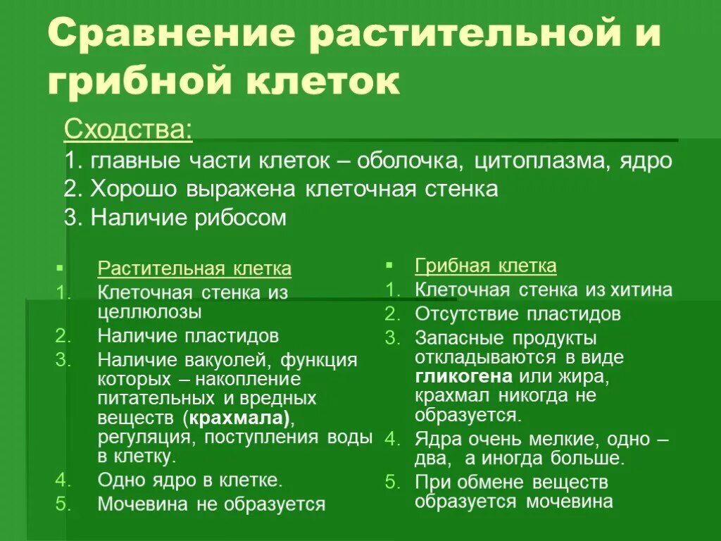 Признаки сходства и различий. Сравнить различия строения растительной и животной клетки. Сходства и отличия растительной и животной клетки. Растительная клетка и животная клетка сходства и различия. Сходства и различия растительной и животной клетки.