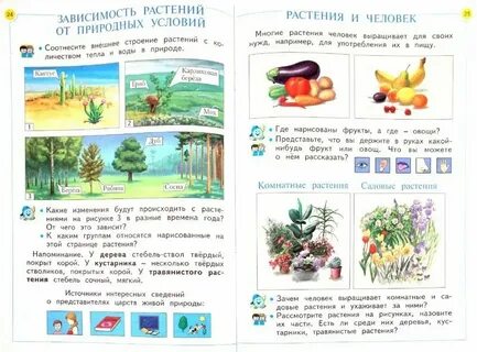 Окружающий мир 1 класс готовые задания