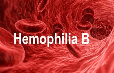 Haemophilia латынь