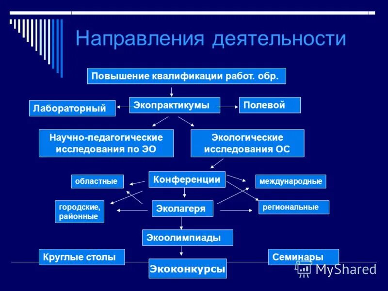 направления экологических исследований