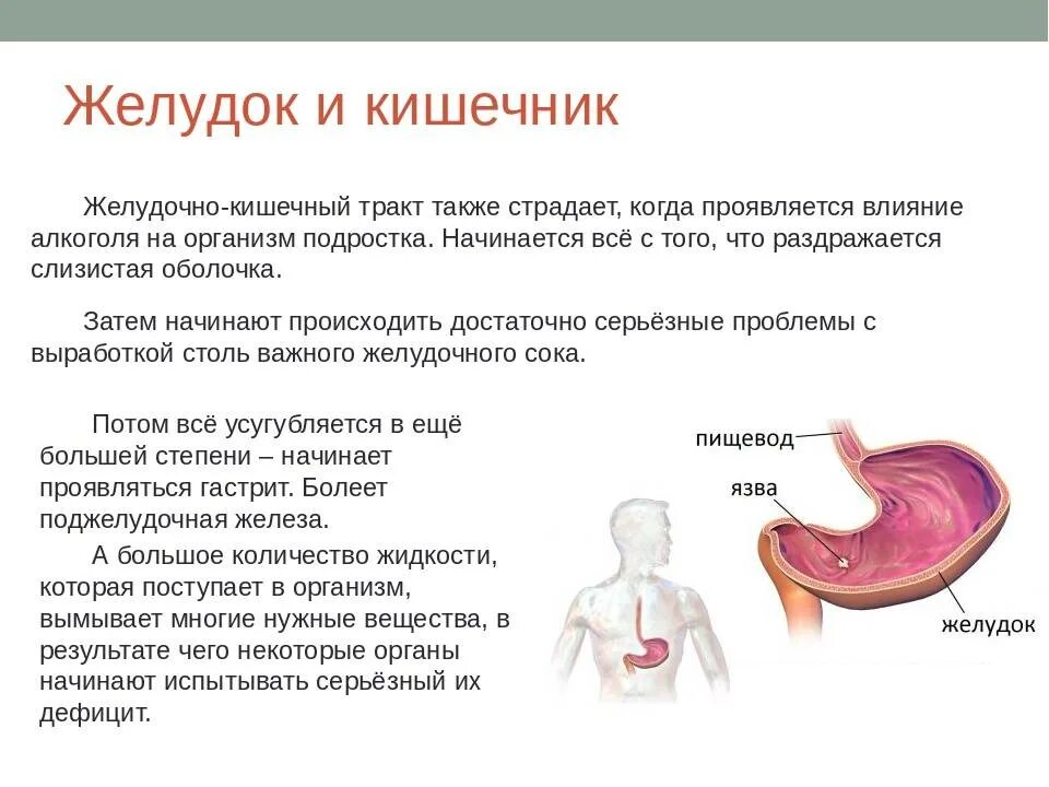 Печень влияет на желудок. Влияние воспаления на ЖКТ.