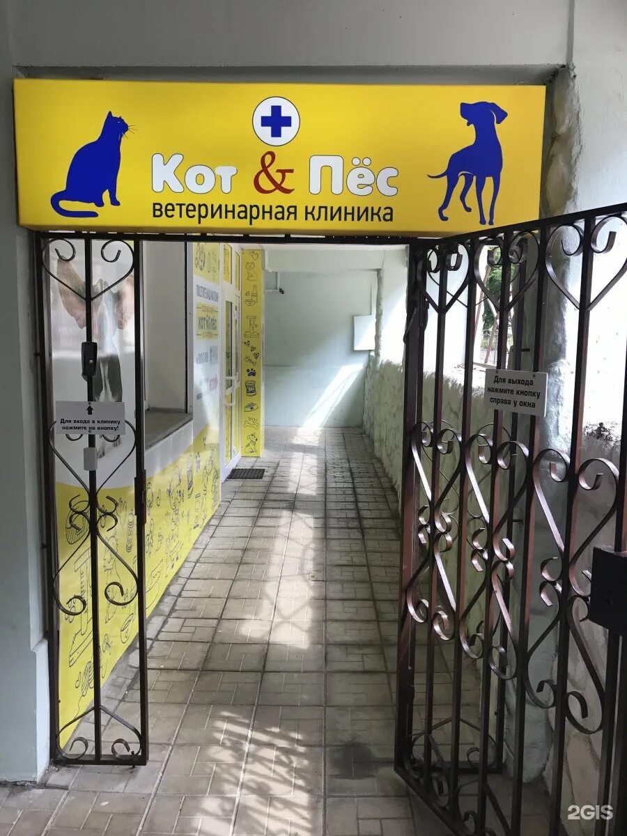 клиника кот и пёс калуга. кот и пес ветеринарная клиника спб. ветлечебница рассказово. кот и пес ветеринарная клиника спб. кот и пёс ветеринарная клиника кстово.