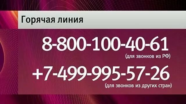 Первый канал горячая линия. Летай горячая линия. Горячая линия новостная. Номер телефона горячей линии летай. Горячая линия летай бесплатный телефон с сотового