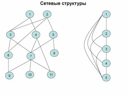 Структурные компоненты сетей