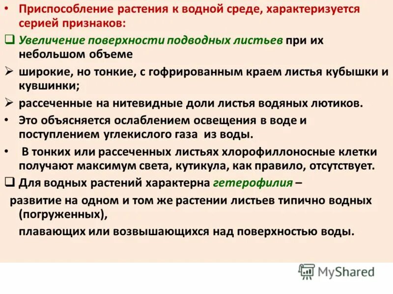 Водный режим характеризуется. Приспособления растений к водной среде. Приспособления водных растений. Приспособление растений к ию водной среде. Приспособленность растений к водной среде.