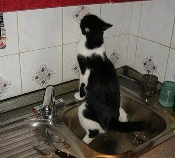 Прикольное начало
