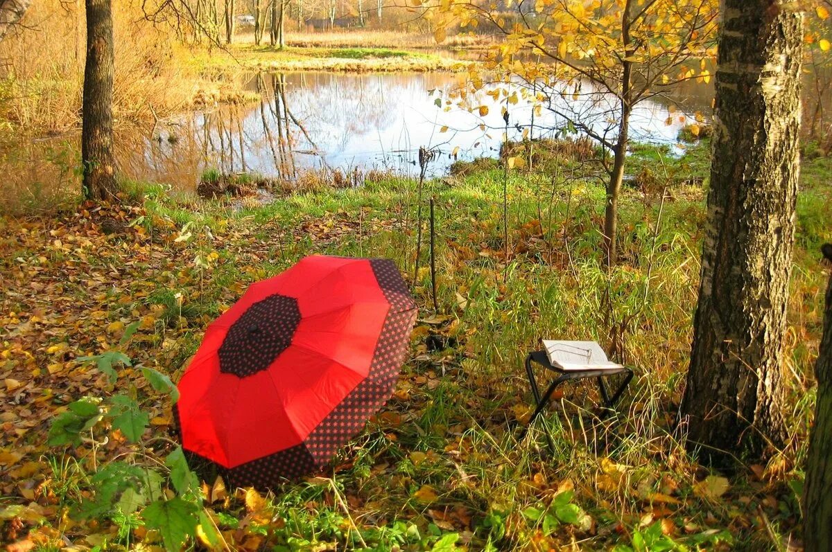 зонтик. зонт уличный. осень дождь. хорошего настроения в дождливую погоду. Rio lama зонт.