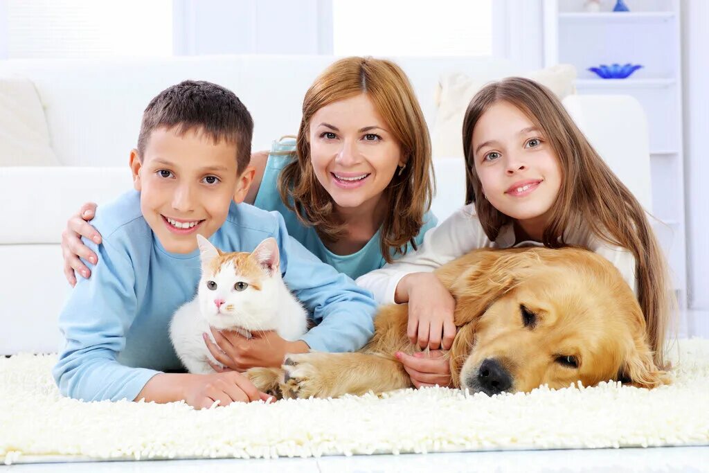 Chem family. Домашние животные для детей. Семья с собакой. Домашние животные и человек. Собака для детей.