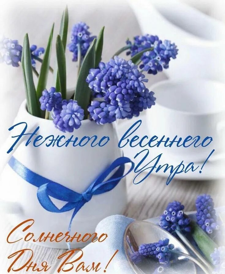 Доброго позитивного весеннего утра картинки позитивные. Доброе весеннее утро хорошего дня. доброго весеннего дня. открытки с добрым мартовским утром. весенние цветы с пожеланиями доброго утра.