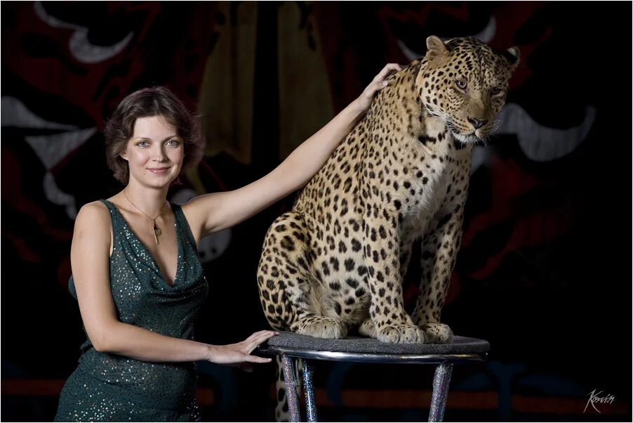 Ягуар животное фото. Леопард в городе. Леопард в ночной съемке. Ягуар леопард оскал. Животные нападают на людей.