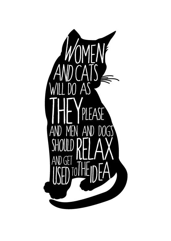 Now only cats will follow me. Мысли кошки. cat quotes. постер с черной кошкой. quotations about cats.