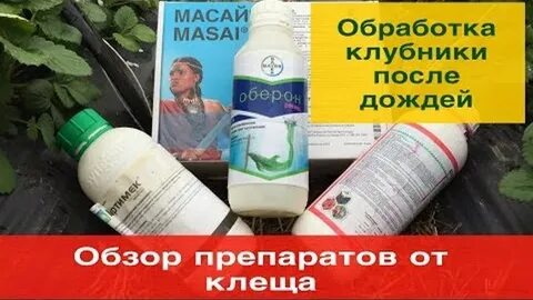 Препараты от клеща на клубнике