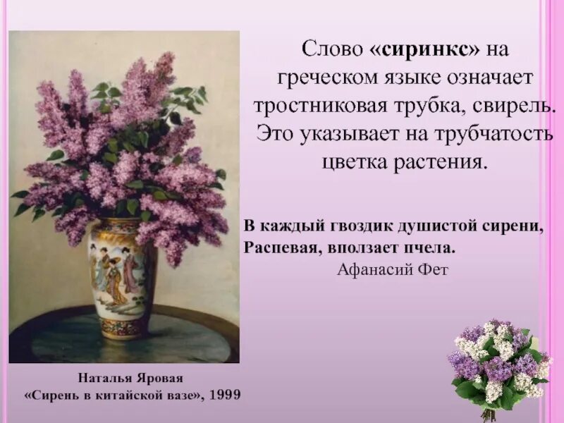 Не расставленной в вазы душистой сирени. Предложение с душистая сирень. красивое предложение о сирени. предложение со словом сирень. что означает сирень на языке цветов.