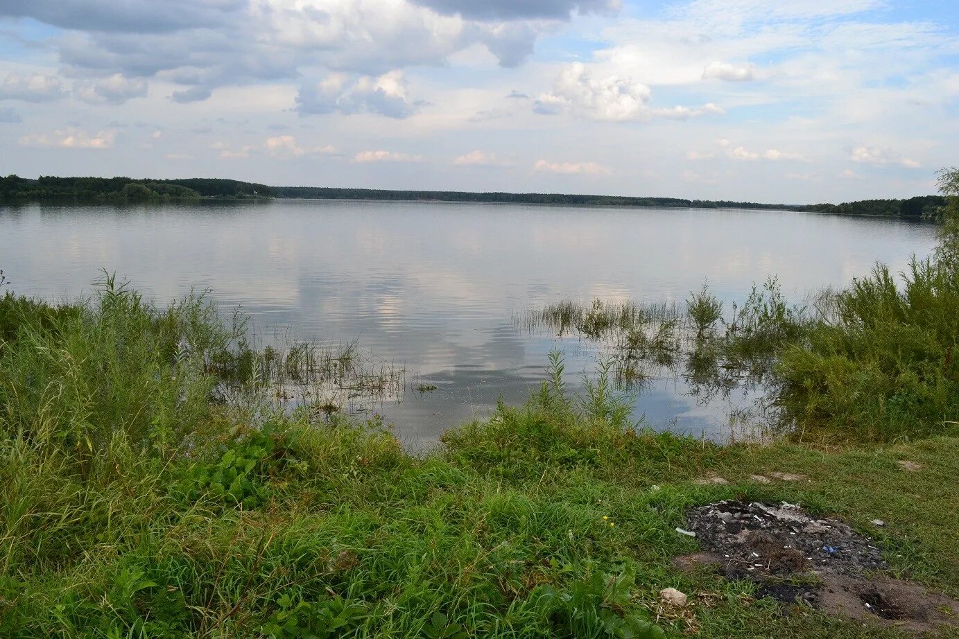 Клев на можайском. Можайский район Можайское водохранилище. Калипсо Можайское водохранилище. Остров Горшковский Можайское водохранилище. Можайское водохранилище с палатками.