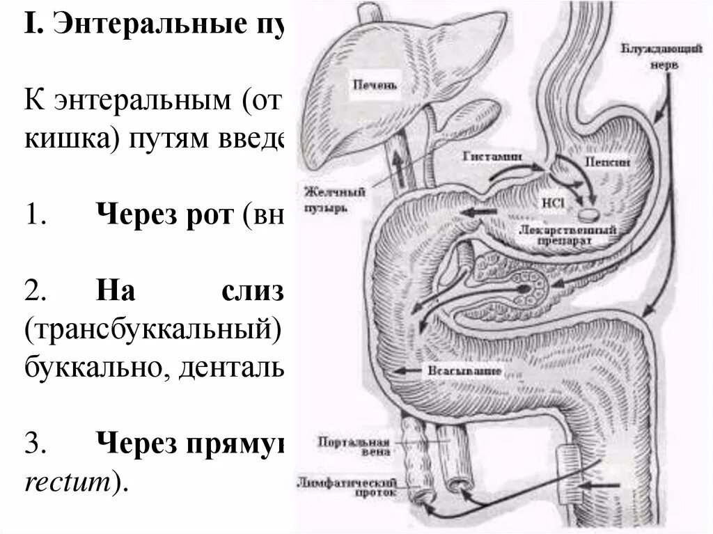 Энтеральное через рот. Энтеральный путь введения лекарственных средств. энтеральные пути введения через рот. энтеральный путь введения это через что. энтеральный путь введения схема.