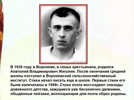Биография анатолия владимировича