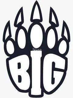 Csgo big
