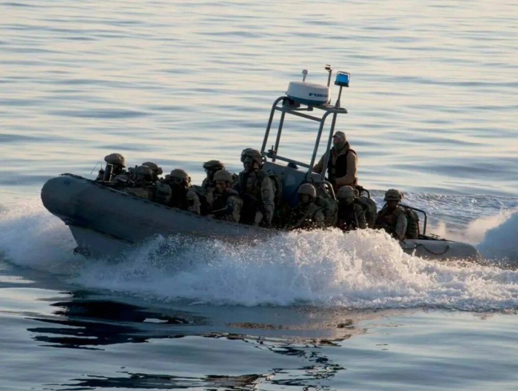 Катеры willard sea force. Виллард лодка. Rhib 700. Willard sea force 730. Американские катера.