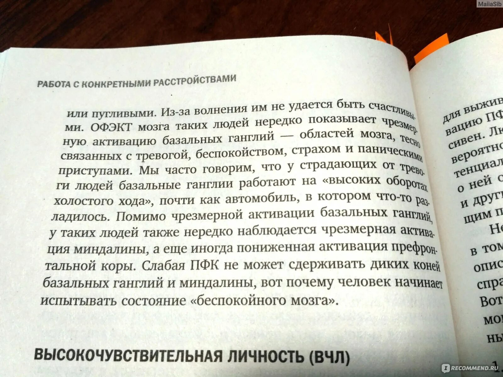 Тревожный мозг читать. Тревожный мозг книга. Аннибали тревожный мозг.