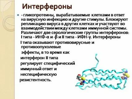 Интерферон гамма это