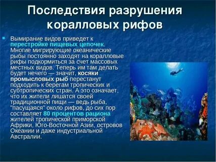 Характеристика коралловых рифов