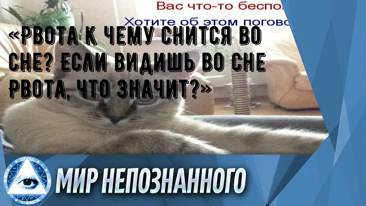 К чему снится вырвать во сне. Приснилось что тошнит во сне. К чему снится что я РЫГАЮ во сне.