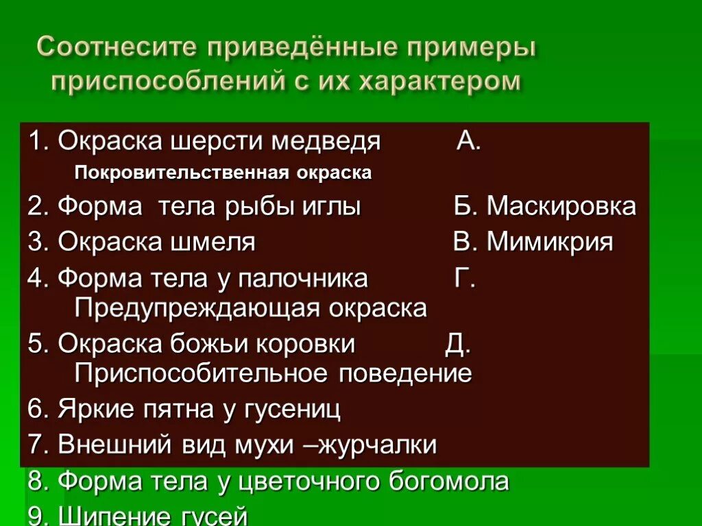 Установите соответствие между примерами приспособленности У покрытосеменных растений произрастающих в засушливых условиях фото