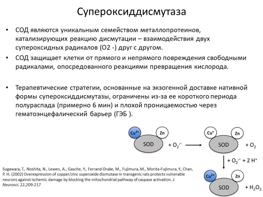 Супероксидный радикал. Механизм действия супероксиддисмутазы. Супероксиддисмутаза механизм действия. Фермент супероксиддисмутаза строение. Реакция дисмутации супероксидного радикала.