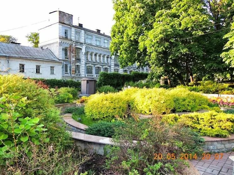 Морозовский сад в Москве