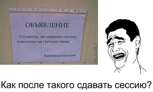 Студенты не сдавшие сессию повешены на третьем. Студент на сессии картинки. Объявление студенты не сдавшие сессию повешены на третьем этаже. Студентытне сдавшие сессию