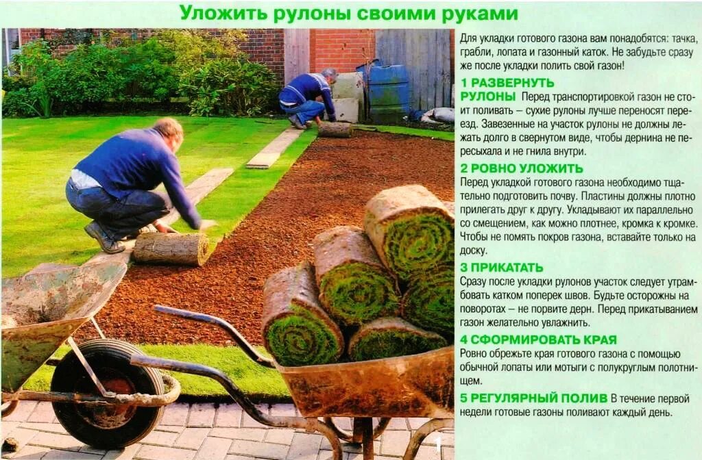 Газон своими руками схема Неактивно