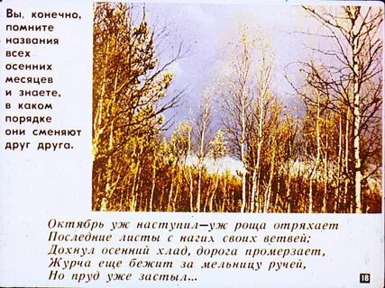Дохнул осенний хлад дорога промерзает