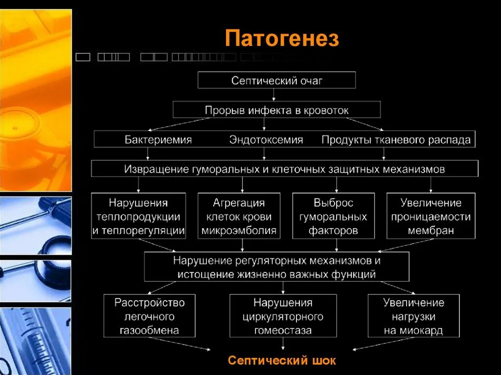 Патогенез септического шока