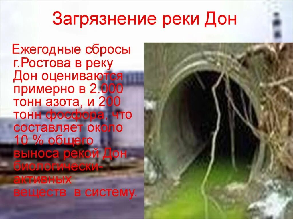 Проблемы дона. Экологические проблемы дона. загрязнение реки дон. проблемы реки дон. проблемы экологии реки дон.