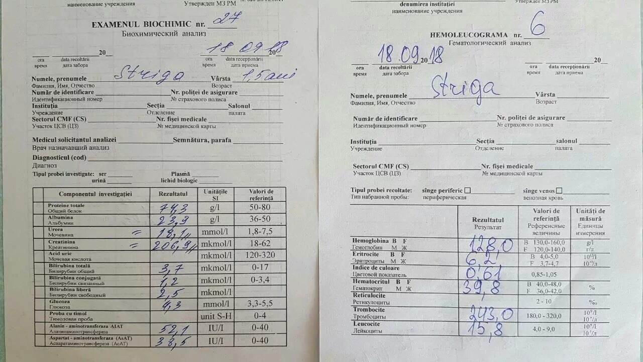 Мор анализ крови. Мор анализ крови расшифровка. Кровь на мор расшифровка. Какие анализы нужны чтобы проверить почки