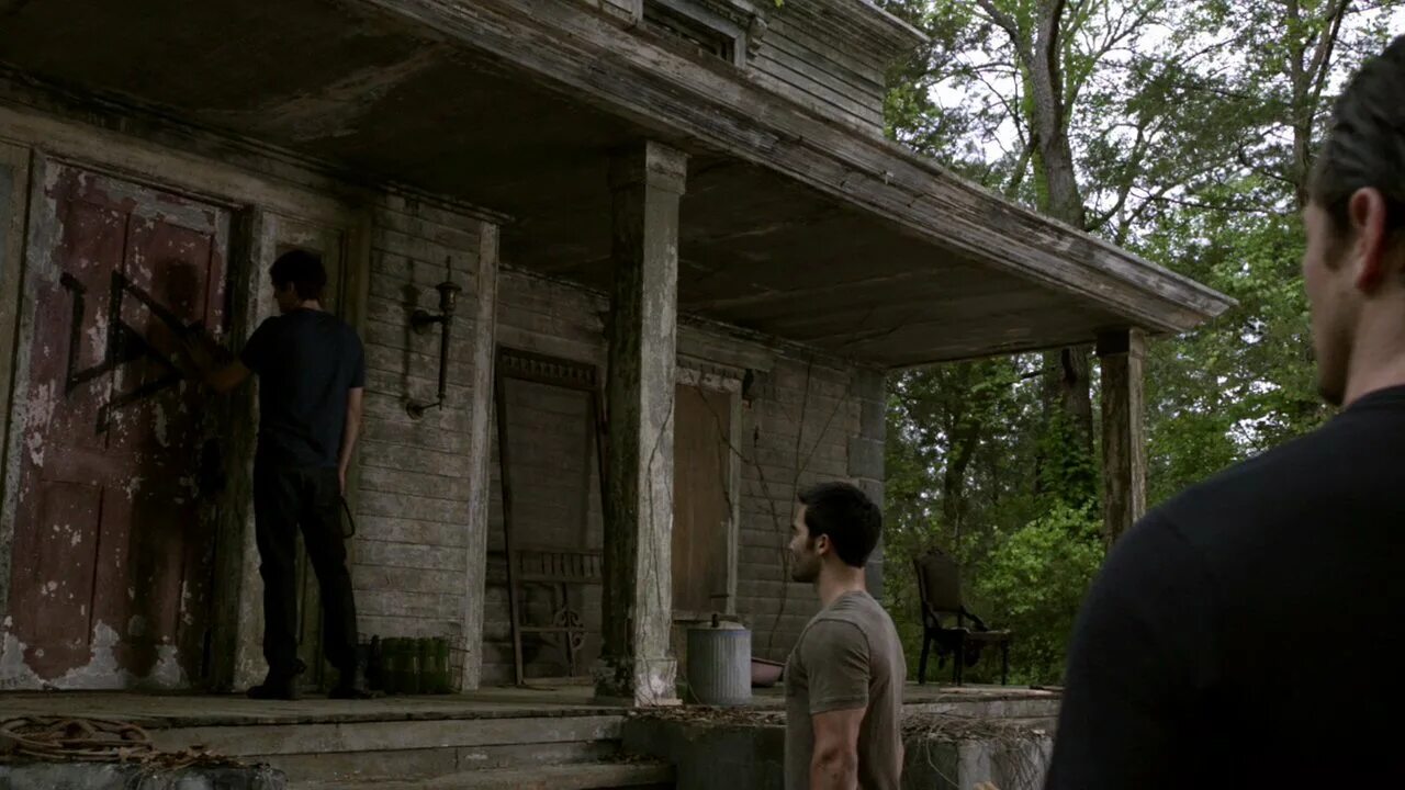 дом скотта маккола. добрый волк. дом волчонка. про маленького волчонка. дом скотта маккола из волчонка.