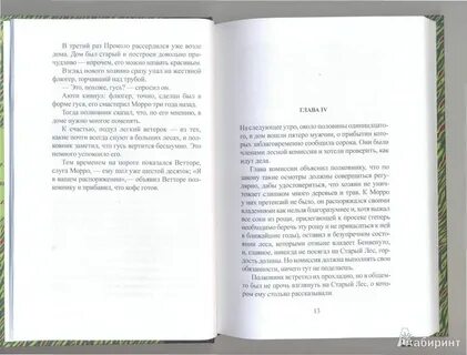 Загадка старого леса