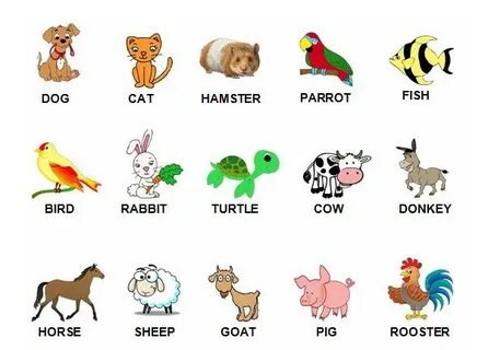 Переведи cat dog