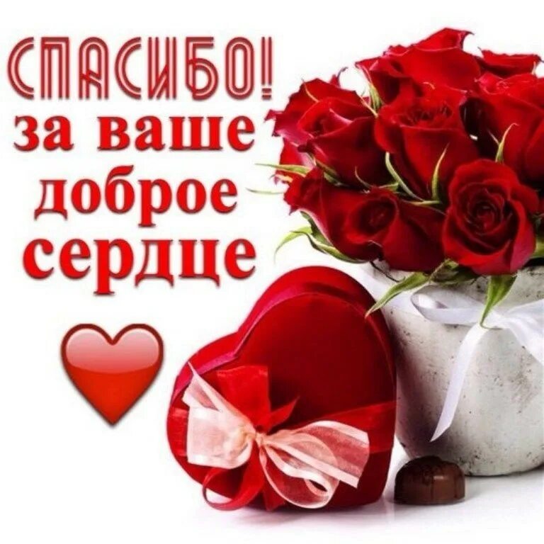 Огромное спасибо всего доброго. Спасибо за доброе сердце. спасибо за ваше доброе сердце. спасибо от всего сердца. человеку с добрым сердцем.