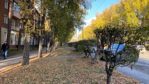 Навигатор академгородок свежий