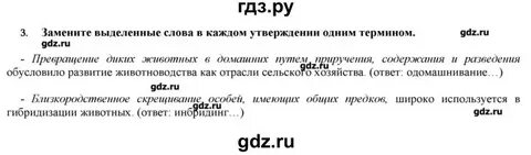 Пересказ 17 параграфа по истории 7 класс