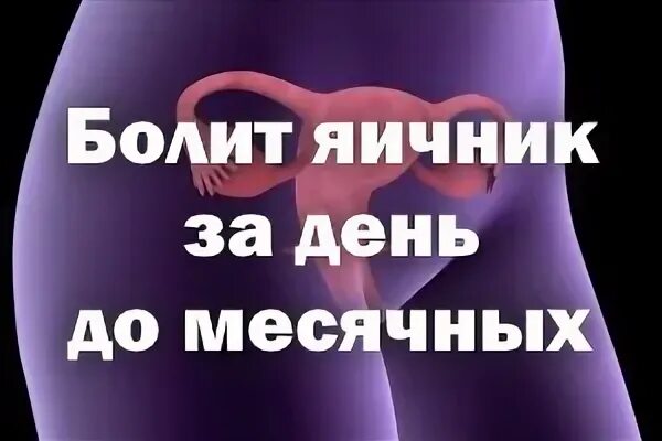 Неделю болит яичник форум